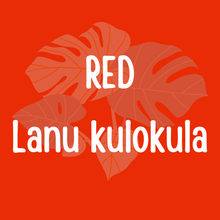 Load image into Gallery viewer, Koe Ngaahi Fuo moe Ngaahi Lanu- Shapes and Colors in Tongan
