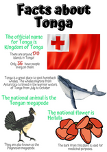 Load image into Gallery viewer, Auckland Library Tongan Activity Book
